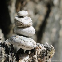 /album/mer/frida-dumont-img-1261-jpg/